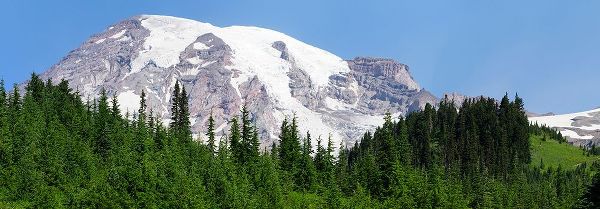 Wild, Jamie and Judy 아티스트의 Washington State-Mount Rainier National Park View from Skyline Trail작품입니다.